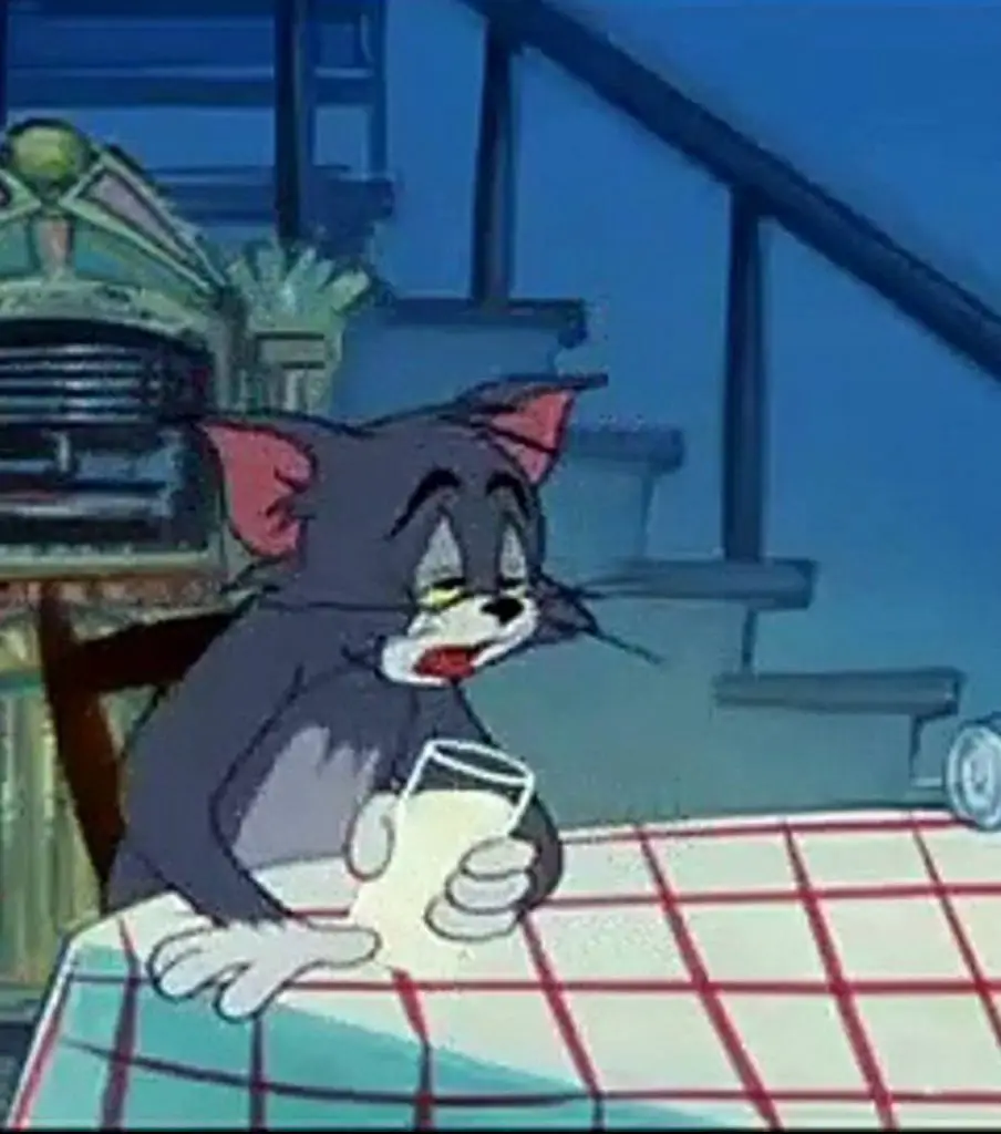 Tom in Tom and Jerry Cartoon Show.
